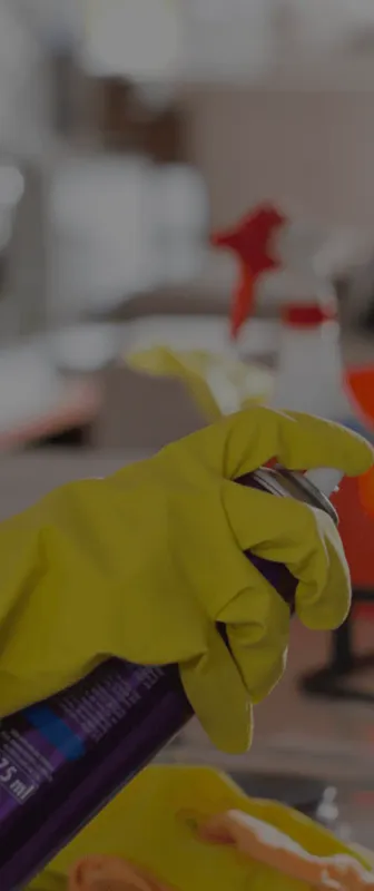 Cleaners Available in Minnetonka